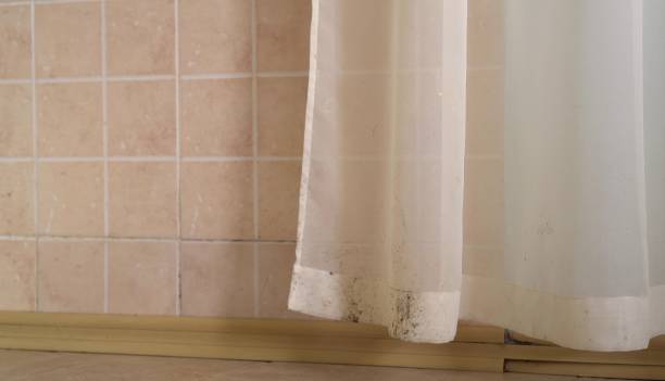 Best Mold Removal for HVAC Installations  in Bainbridge, GA