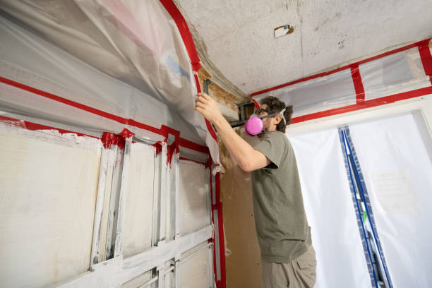 Best Forensic Mold Investigation  in Bainbridge, GA