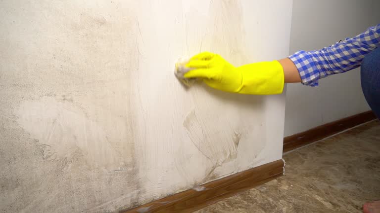 Best Mold Remediation for Healthcare Facilities  in Bainbridge, GA