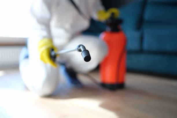 Best Comprehensive Air Testing for Mold Contaminants  in Bainbridge, GA