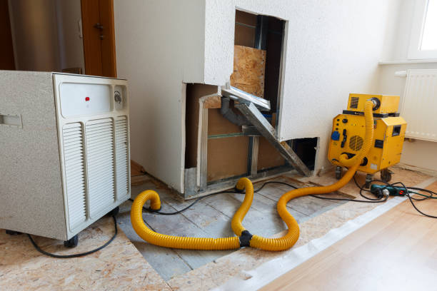 Best Crawl Space Mold Remediation  in Bainbridge, GA