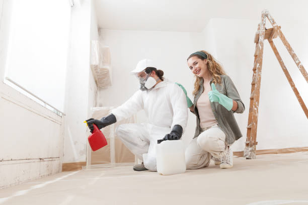 Trusted Bainbridge, GA Mold Removal Experts